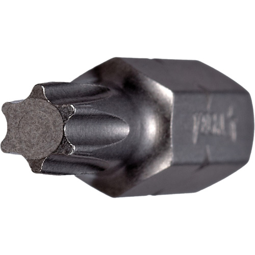 Embout, Torx, 25, Prise 1/4" MAS Chibougamau