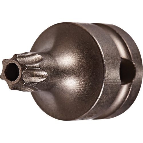 Socket Bit, Torx&reg; Tamper, 25 x 1" L, 3/8" Drive MAS Chibougamau