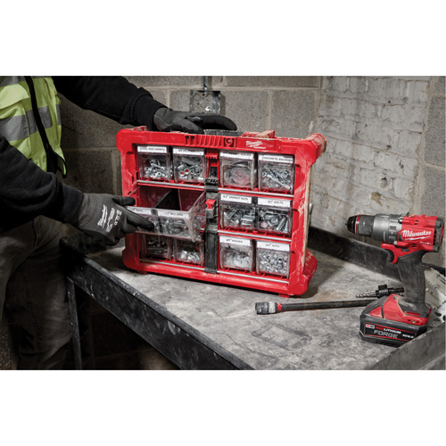 Organisateur PACKOUT &agrave; bac inclinable, 15-1/5" x 19-7/10" x 6-7/10", Noir/Rouge MAS Chibougamau