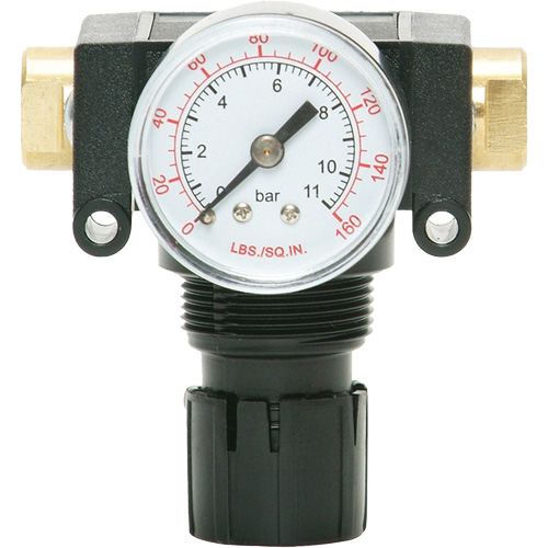 D&eacute;tendeur &agrave; piston en ac&eacute;tal MODULAIR 200, 1/4" NPT, PSI max. de 150 psi, Canalisation/Modulaire MAS Chibougamau