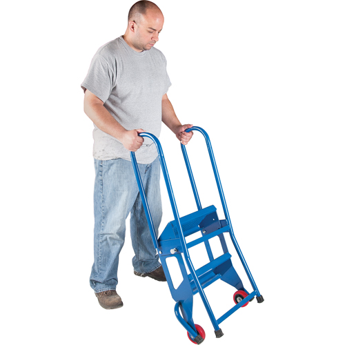 Portable Folding Ladder, 2 Steps, Perforated, 20" High MAS Chibougamau