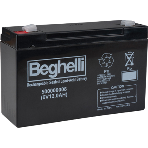 Sealed Lead Acid Batteries, 6 V, 12 Ah MAS Chibougamau