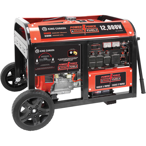 Gasoline/Propane Generator with Electric Start MAS Chibougamau