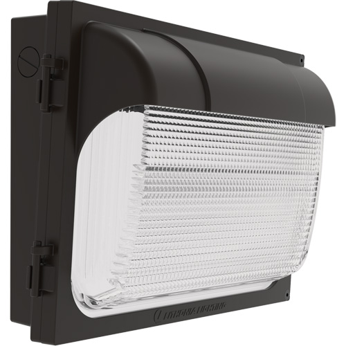 TWX Wall Luminaire, LED, 480 V, 9 W - 54 W, 14" H x 18" W x 5" D MAS Chibougamau