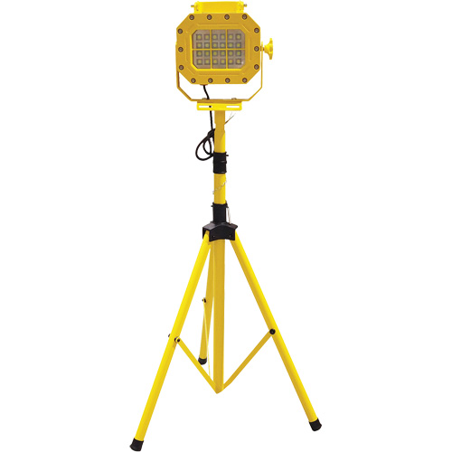 Diffuseur anti-d&eacute;flagration avec tr&eacute;pied, DEL, 40 W, 5600 lumens, Boîtier en Aluminium MAS Chibougamau