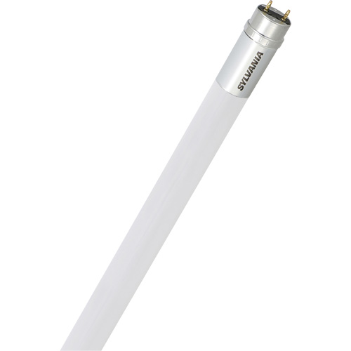Ampoule DEL en verre givr&eacute; SubstiTUBE, 15 W, T8, 4100 K, 48" l MAS Chibougamau