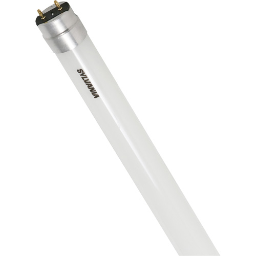 Ampoule DEL en verre givr&eacute; SubstiTUBE, 12 W, T8, 5000 K, 48" l MAS Chibougamau