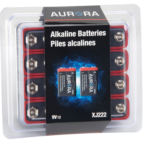 Piles alcalines industrielles, 9 V MAS Chibougamau
