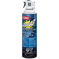 Insecticide Bug Blast, 397 g, &agrave; base de solvant MAS Chibougamau
