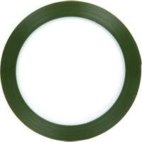 Polyester Tape, Polyester, 25.4 mm (1") W x 66 m (216') L, 1.9 mils Thick MAS Chibougamau