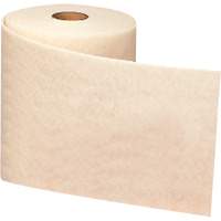 Ruban de nettoyage et de finition Scotch-Brite, Tr&egrave;s fin, Oxyde d'aluminium, 4" la x 30' lo MAS Chibougamau