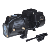 Pompe &agrave; jet en fonte &agrave; double tension transformable, 230 V, 920 gal./h, 1 CV MAS Chibougamau