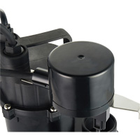 Pompe de puisard submersible thermoplastique, 2560 gal./h, 115 V, 4,6 A, 1/3 CV MAS Chibougamau