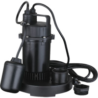 Pompe de puisard submersible thermoplastique, 2560 gal./h, 115 V, 4,6 A, 1/3 CV MAS Chibougamau