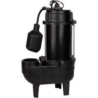 Cast Iron Sewage Pump, 120 V, 9.5 A, 6000 GPH, 1/2 HP MAS Chibougamau
