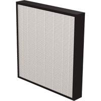 AeraMax&reg; Pro AM3 & AM4 2" True HEPA Filter, Box, 13.75" W x 2.25" D x 14.38" H MAS Chibougamau