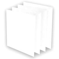AeraMax&reg; Pro AM3 or AM4 Pre-Filters, 13.75" W x 0.13" D x 14.38" H MAS Chibougamau