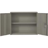 Wall Mounted Cabinet, Steel, 2 Shelves, 30" H x 36" W x 12" D, Grey MAS Chibougamau