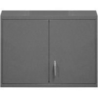 Armoire murale, 27" h x 29-7/8" la x 13-11/16" p, 2 tablettes, Acier, Gris MAS Chibougamau