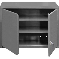 Armoire murale, 27" h x 29-7/8" la x 13-11/16" p, 2 tablettes, Acier, Gris MAS Chibougamau