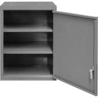Armoire murale, 27" h x 13-11/16" la x 18" p, 2 tablettes, Acier, Gris MAS Chibougamau