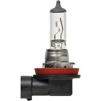 H8 Basic Headlight Bulb, Halogen, 35 W, Off White MAS Chibougamau