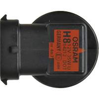 H8 Basic Headlight Bulb, Halogen, 35 W, Off White MAS Chibougamau