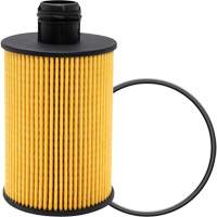 P40147 &eacute;l&eacute;ment filtrant pour l'huile MAS Chibougamau