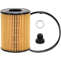 P40164 &eacute;l&eacute;ment filtrant pour l'huile MAS Chibougamau