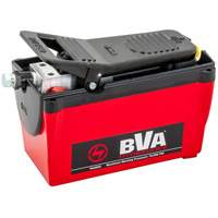 Single Acting 2-Speed Air Pump 122.1 in³ Reservoir MAS Chibougamau