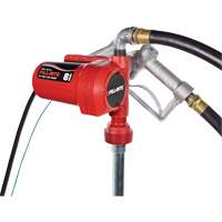 Pompe de transfert de carburant 12 V CC avec pistolet MAS Chibougamau