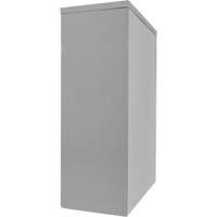 Armoire de rangement &agrave; hauteur de comptoir, Acier, 2 Tablettes, 42" h x 30" la x 15" P, Gris MAS Chibougamau