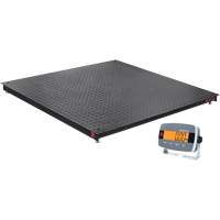 Balance de plancher DEFENDER 3000, Capacit&eacute; de 2500 lb, 48" la x 48" lo MAS Chibougamau