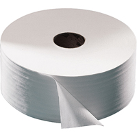 Papier hygi&eacute;nique Advanced, Rouleau G&eacute;ant, 2 Pli, Longueur 751', Blanc MAS Chibougamau