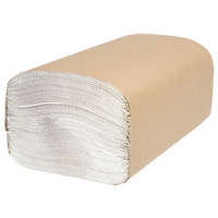 Everest Pro Singlefold Hand Towels, 1 Ply, 10-1/4" L x 9-1/4" W, 250 /Pack MAS Chibougamau