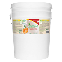 Neutral Cleaner, 20 L, Pail MAS Chibougamau