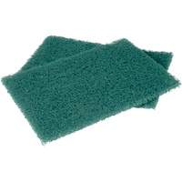 Scotch-Brite Hand Pads, Scrubbing, 6" W x 9" L MAS Chibougamau