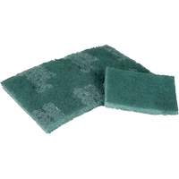 Tampon de r&eacute;curage, 3" lo x 4-1/2" la MAS Chibougamau