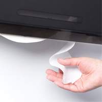 Cored JRT Combo Unit Toilet Paper Dispenser, Multiple Roll Capacity MAS Chibougamau