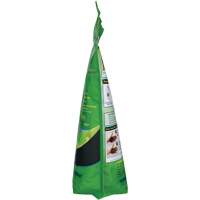 Nettoyant pour les mains biod&eacute;gradable, Poudre, 4,5 lb, Pochette, Sans parfum MAS Chibougamau