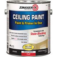 Peinture et appr&ecirc;t pour plafond en un seul produit, Blanc, Tr&egrave;s mat, 3,78 L, Gallon MAS Chibougamau