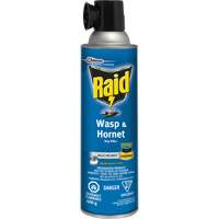 Insecticide contre les gu&ecirc;pes et les frelons Raid, 400 g, &agrave; base de solvant MAS Chibougamau