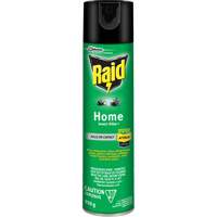 Insecticide pour insectes domestiques Raid, 350 g, &agrave; base de solvant MAS Chibougamau