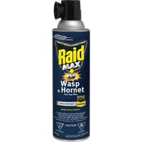 Mousse insecticide contre les gu&ecirc;pes et les frelons Raid Max, 500 g, Canette a&eacute;rosol, &agrave; base de solvant MAS Chibougamau