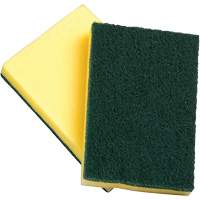 Sponges with Scouring Pad, Scrubbing, 4" W x 6" L MAS Chibougamau