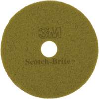 Tampon pour planchers TopLine Speed, 17", Brunissage, Brun MAS Chibougamau