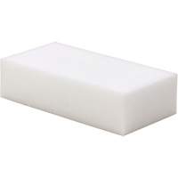 eXpunge&reg; Cleaning Sponges, Scrubbing, 3-3/8" W x 6-1/4" L MAS Chibougamau