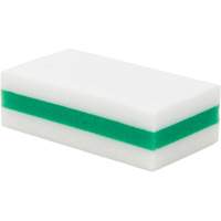eXpunge&reg; Sponge Plus, Scrubbing, 3-3/8" W x 6-1/4" L MAS Chibougamau