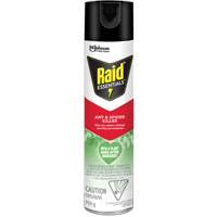 Insecticide pour araign&eacute;es et fourmis Essentials Raid, 350 g, Canette a&eacute;rosol MAS Chibougamau