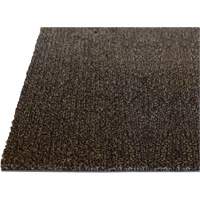 Palliser Indoor Matting, Wiper/Scraper, 3-1/2' x 6' x 5/16", Anglis MAS Chibougamau